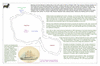 bee29 tahiti_thumb.gif